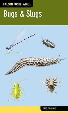 Cover for Bugs and Slugs