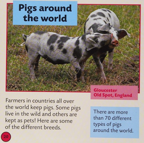 Cover for Pig