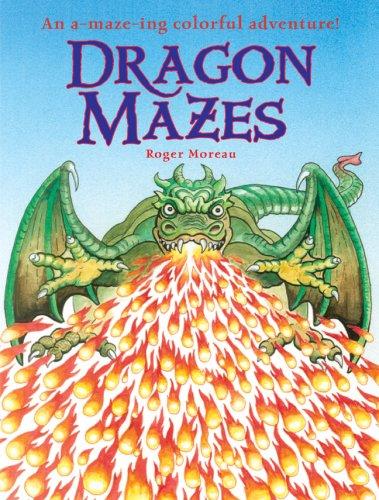 Cover for Dragon Mazes