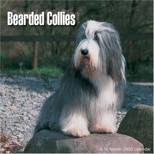 Cover for Bearded Collies 2008 Wall Calendar