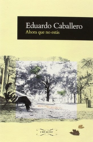 Cover for Ahora que no estás
