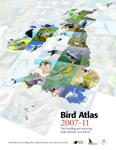 Cover for Bird Atlas 2007-11