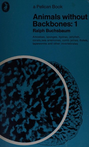 Cover for Animals Without Backbones