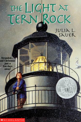 Cover for The Light at Tern Rock