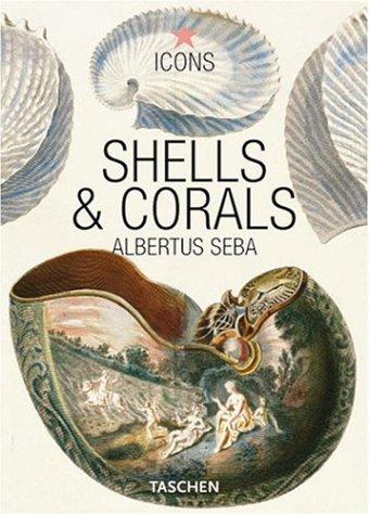 Cover for Seba, Shells & Corals (Icons)