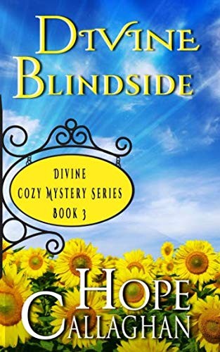 Cover for Divine Blindside