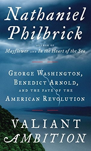 Cover for Valiant Ambition