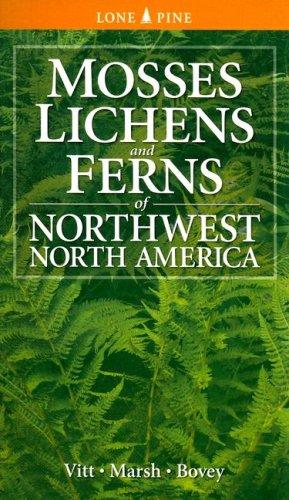 Cover for Mosses Lichens & Ferns of Northwest North America (Lone Pine Guide)