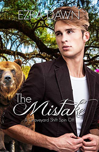 Cover for The Mistake