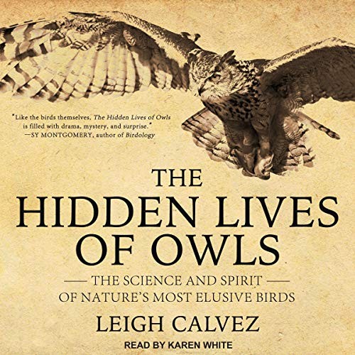 Cover for The Hidden Lives of Owls