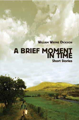 Cover for A Brief Moment in Time