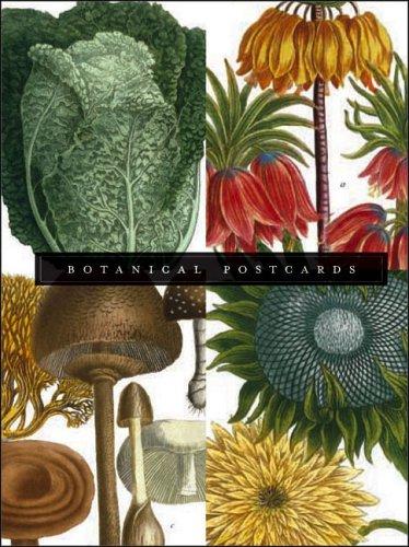 Cover for Botanical Postcard Box