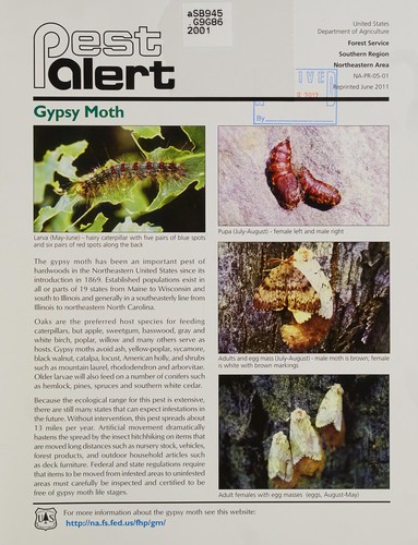 Cover for Gypsy moth