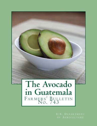 Cover for The Avocado in Guatemala