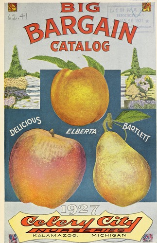 Cover for Big bargain catalog