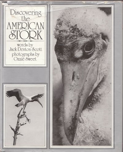 Cover for Discovering the American stork