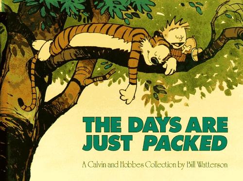 Cover for The days are just packed