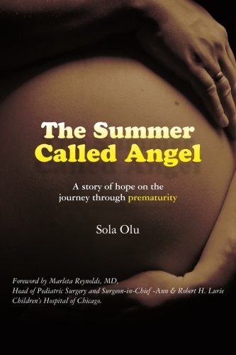 Cover for The Summer Called Angel