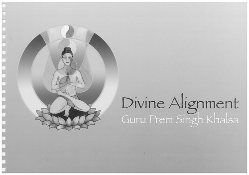 Cover for Divine Alignment