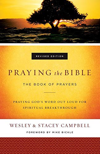 Cover for Praying the Bible