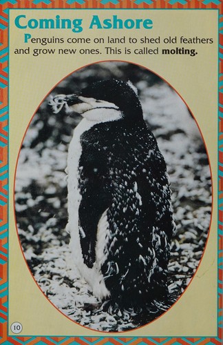 Cover for Penguins