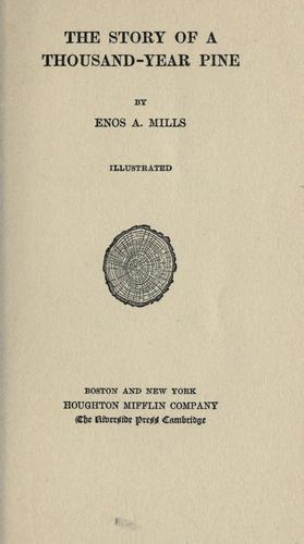 Cover for The story of a thousand-year pine