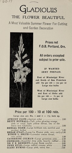 Cover for Gladiolus, the flower beautiful