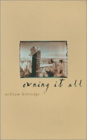 Cover for Owning It All