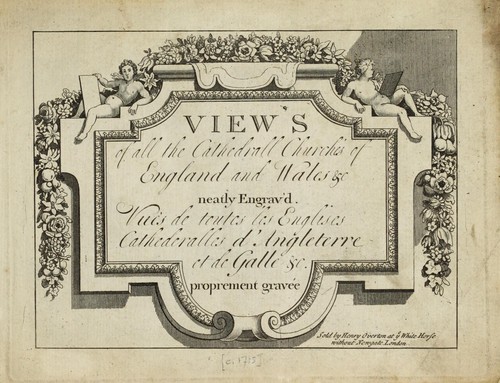 Cover for View's of all the cathedrall churches of England and Wales &c neatly engrav'd =