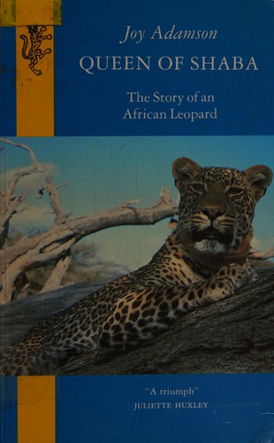 Cover for Queen of Shaba
