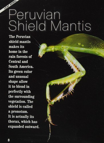 Cover for Mantis