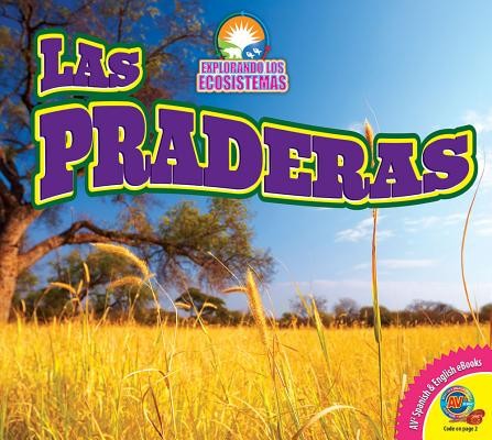 Cover for Las Praderas (Grasslands) (Explorando Los Ecosistemas (Exploring Ecosystems)) (Spanish Edition)