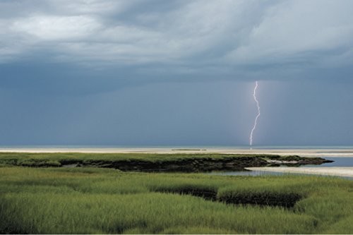Cover for On Cape Cod Greeting Cards
