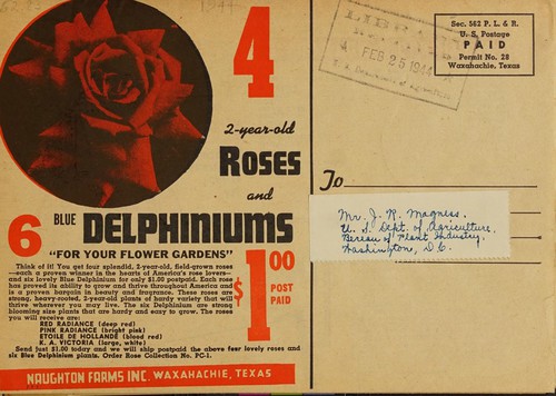 Cover for Naughton's guaranteed roses, trees, shrubs