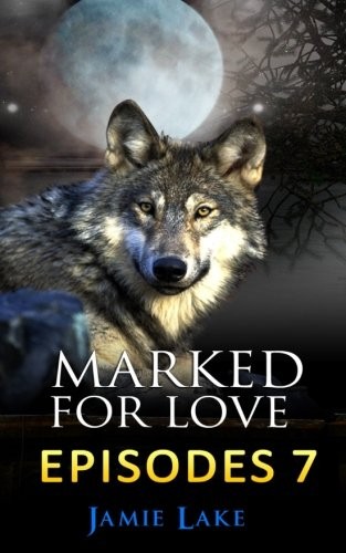 Cover for Marked for Love 7