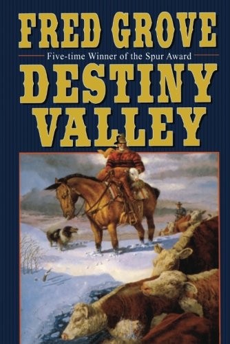 Cover for Destiny Valley