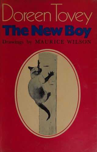 Cover for The new boy