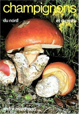 Cover for Champignons du nord et du midi