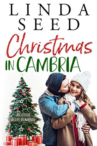 Cover for Christmas in Cambria