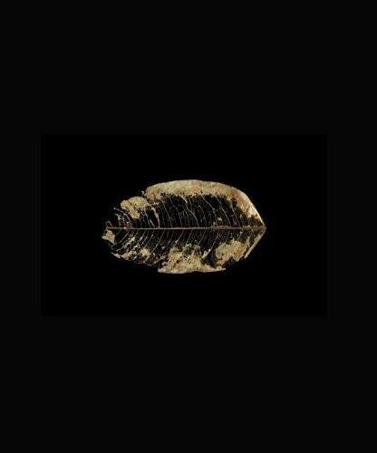 Cover for Eden Turned on Its Side