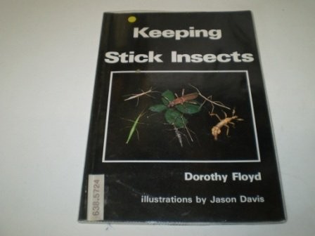 Cover for Keeping Stick Insects