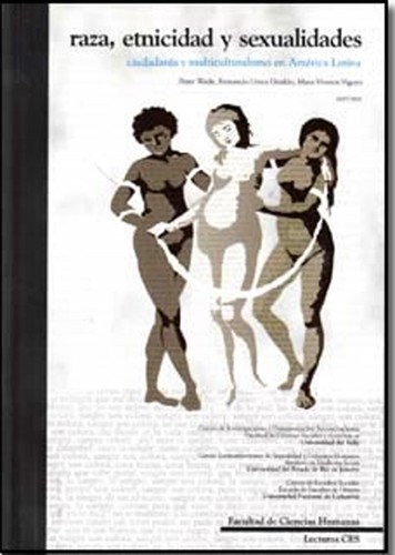 Cover for Raza, etnicidad y sexualidades : ciudadanía y multiculturalismo en América Latina - 1.ed.