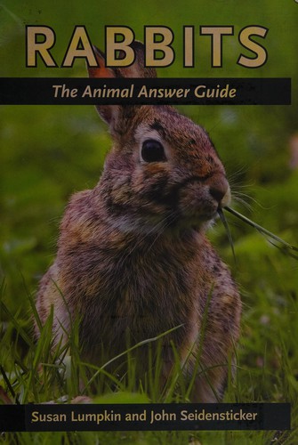 Cover for Rabbits