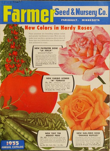 Cover for 1955 annual catalog