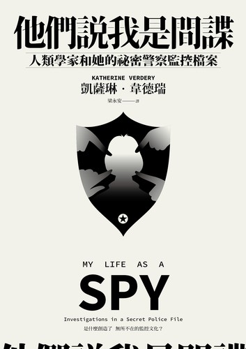 Cover for 他們說我是間諜