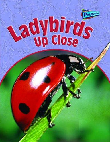 Cover for Ladybirds Up Close (Raintree Perspectives: Minibeasts Up Close)