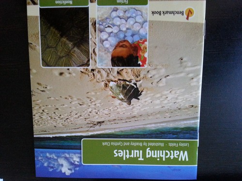 Cover for Watching Turtles