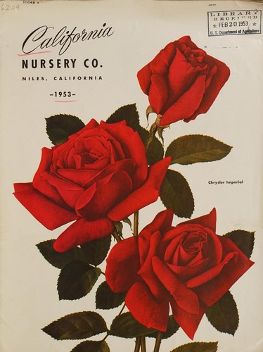 Cover for 1953
