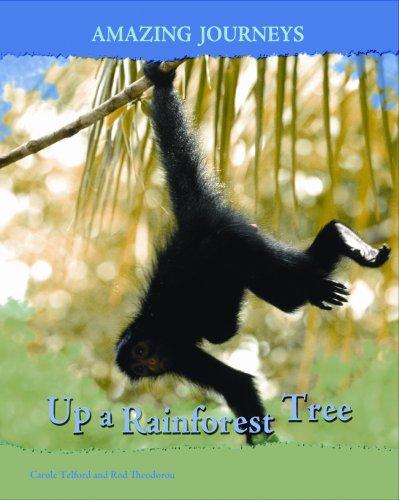 Cover for Up a Rainforest Tree (Amazing Journeys/2nd Edition)