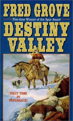 Cover for Destiny Valley